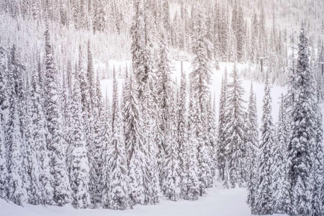 Chateau Dumont 17 Aspen Luaran gambar